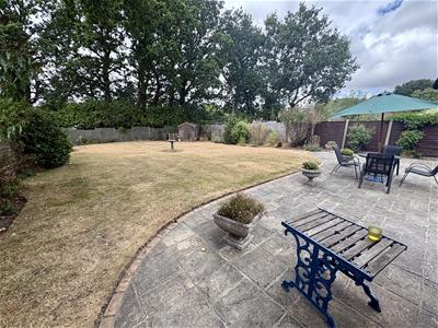 Picture 20
